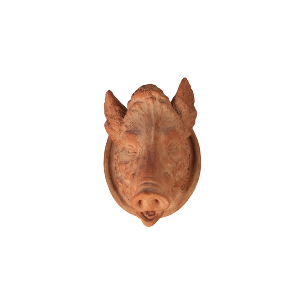Boar Head in Terracotta